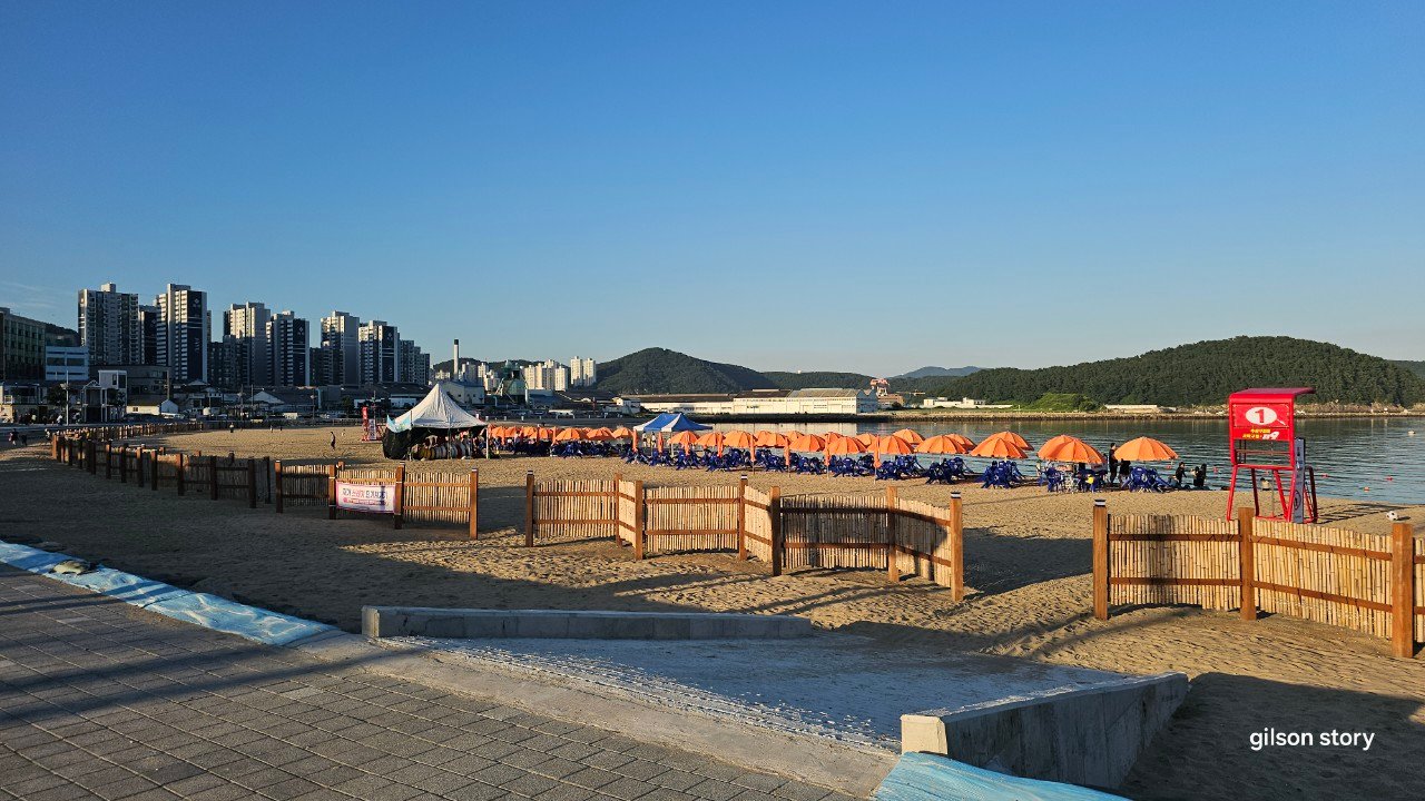 Orange beach umbrellas at Mollundae's east beach in late afternoon light, Busan