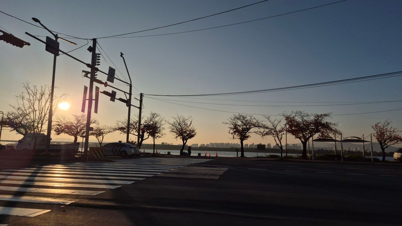 Sunset light over a street crossing near Sinpyeong Station, Busan, with silhouetted trees